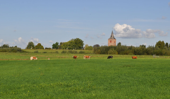 Bekade gebied in de Hiensewaard